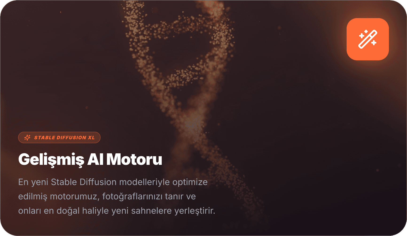 WithThem Premium Templates