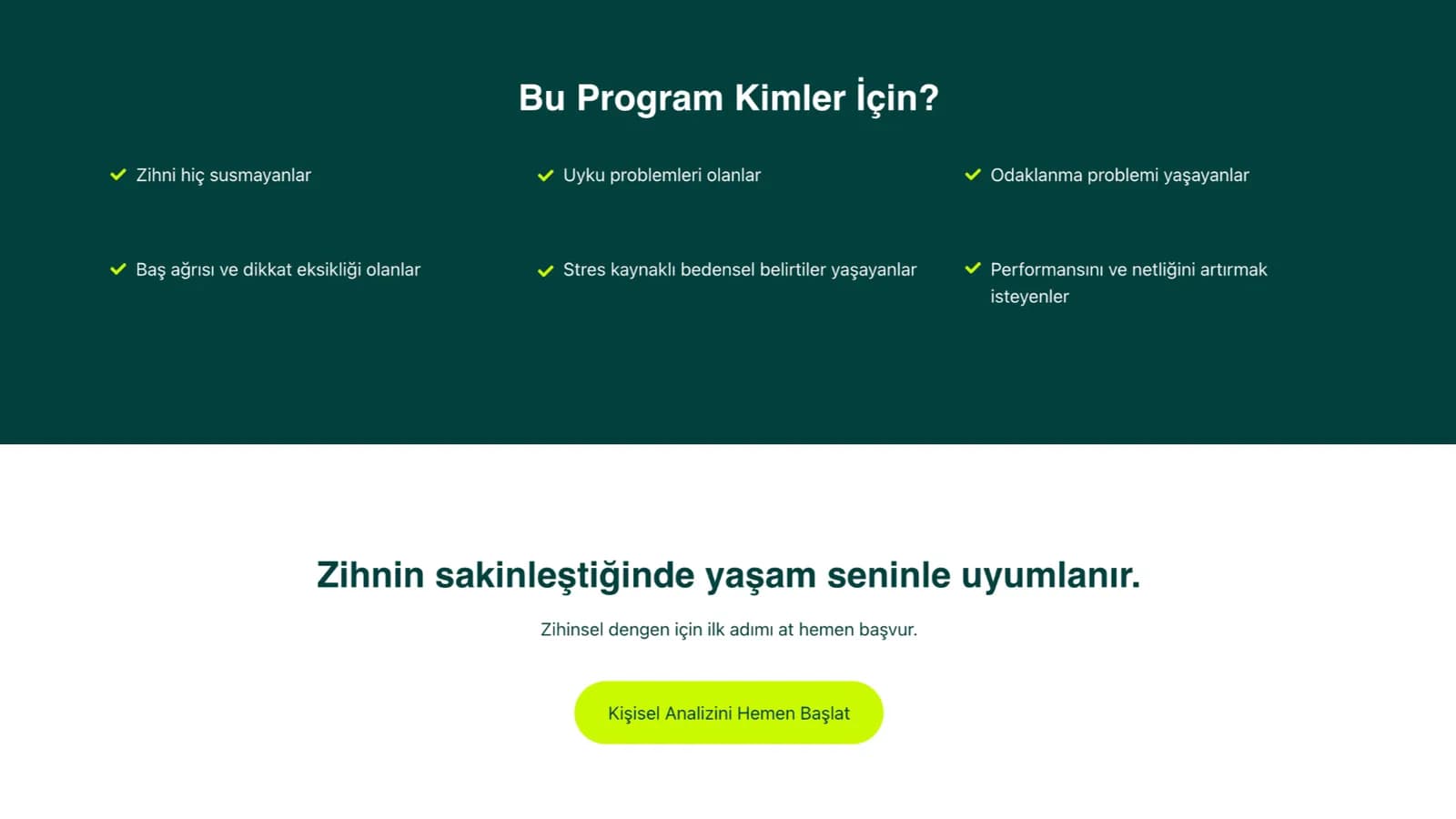 Vellum Zone web sitesi ekranı