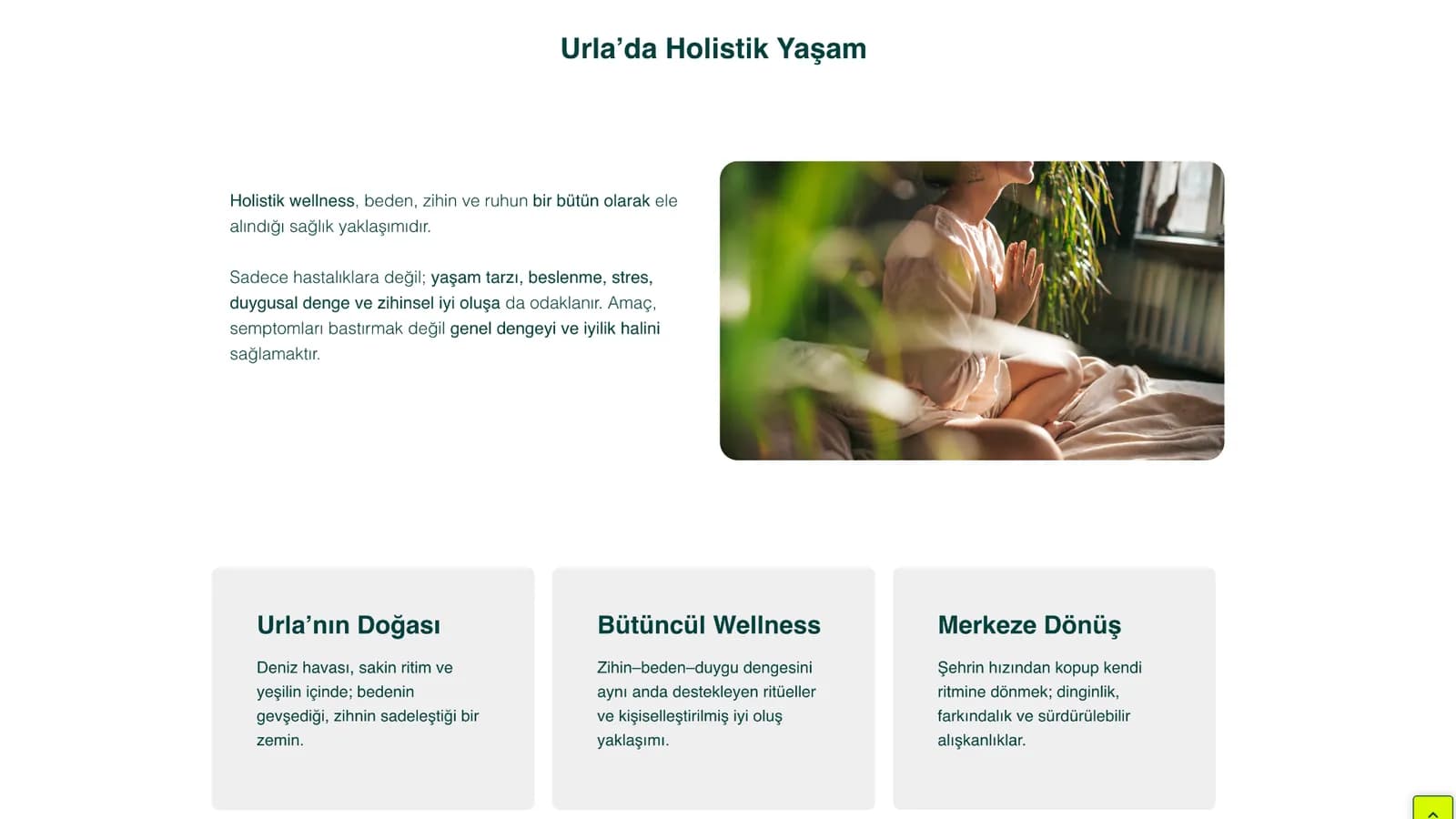 Vellum Zone web sitesi ekranı