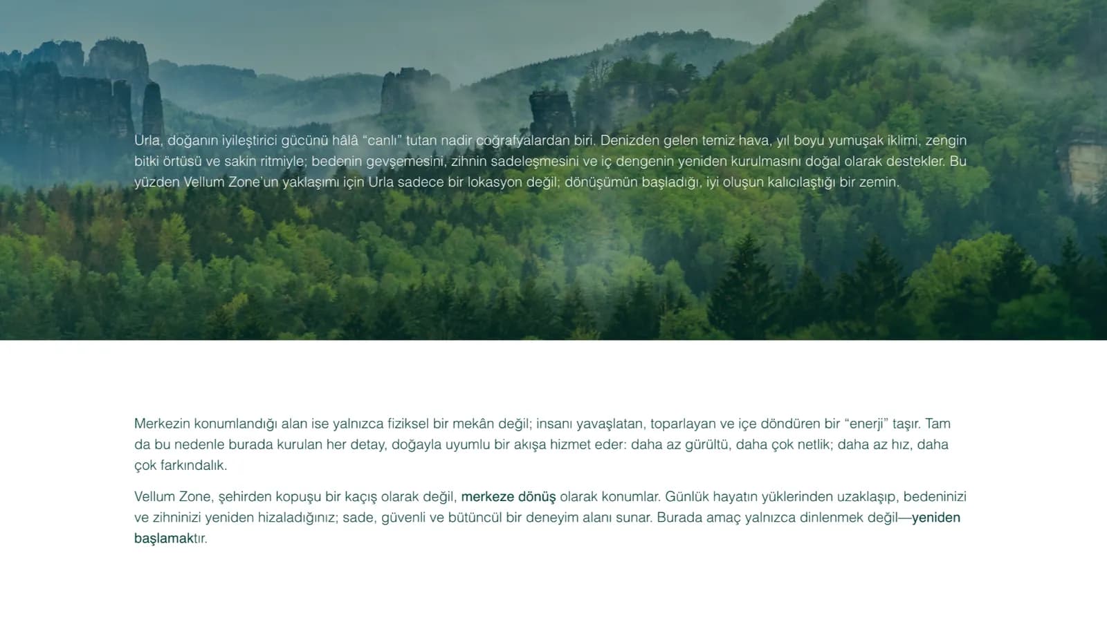 Vellum Zone web sitesi ekranı