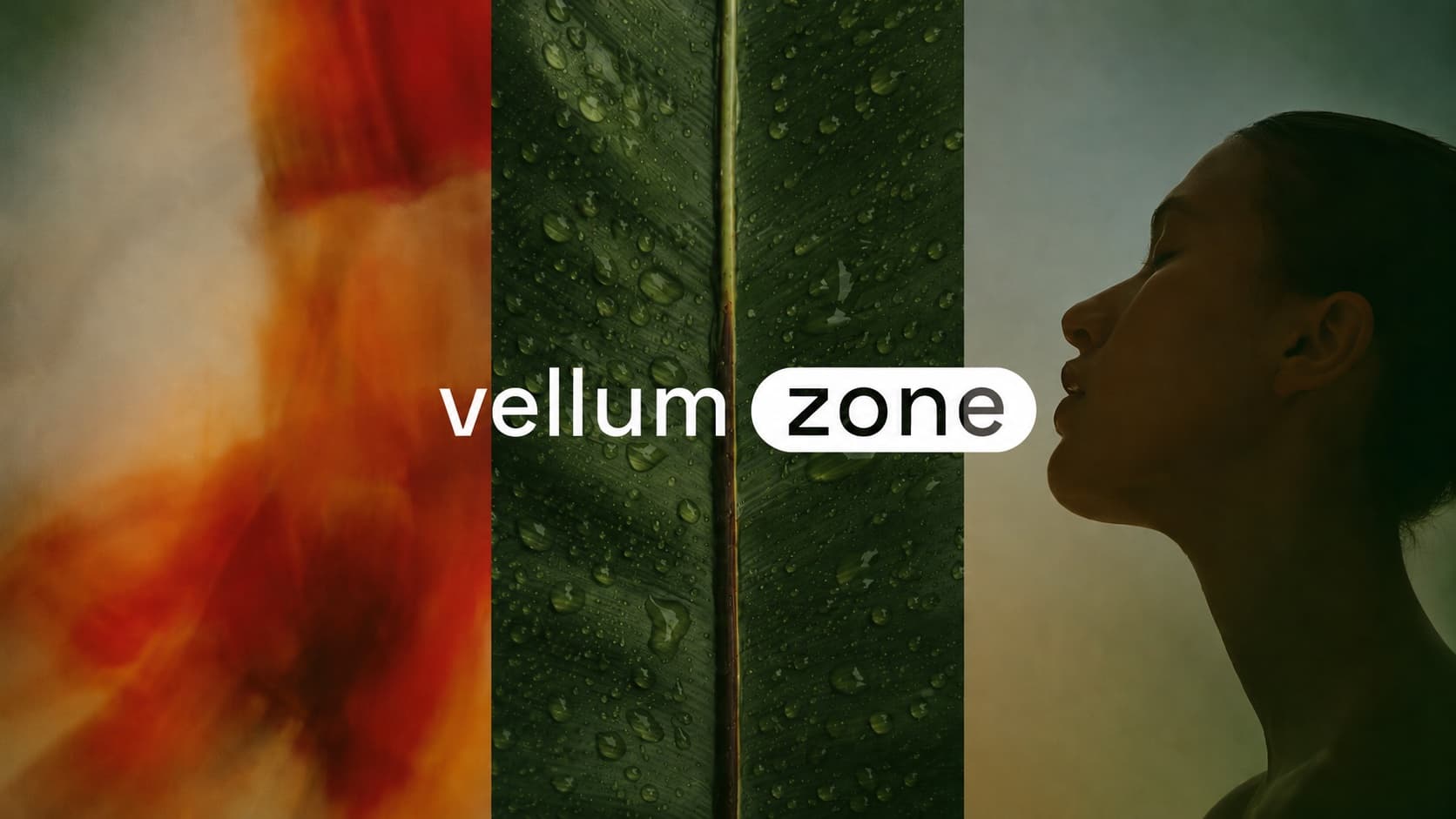 Vellum Zone marka görseli