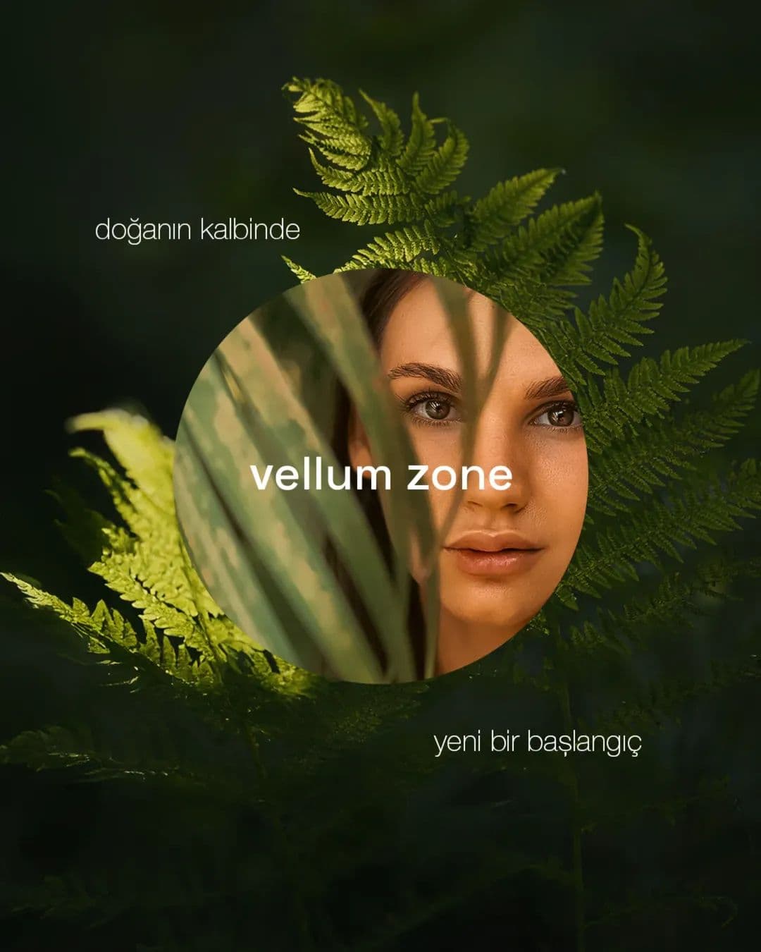 Vellum Zone sosyal medya gönderisi