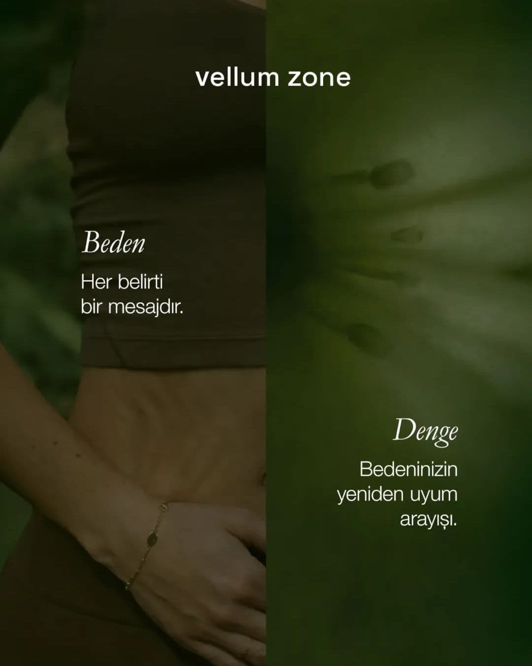 Vellum Zone sosyal medya gönderisi