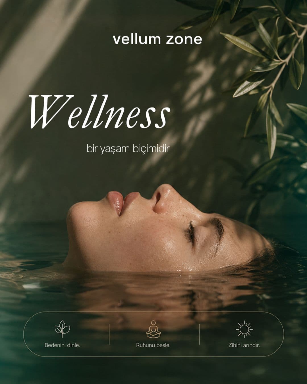 Vellum Zone sosyal medya gönderisi