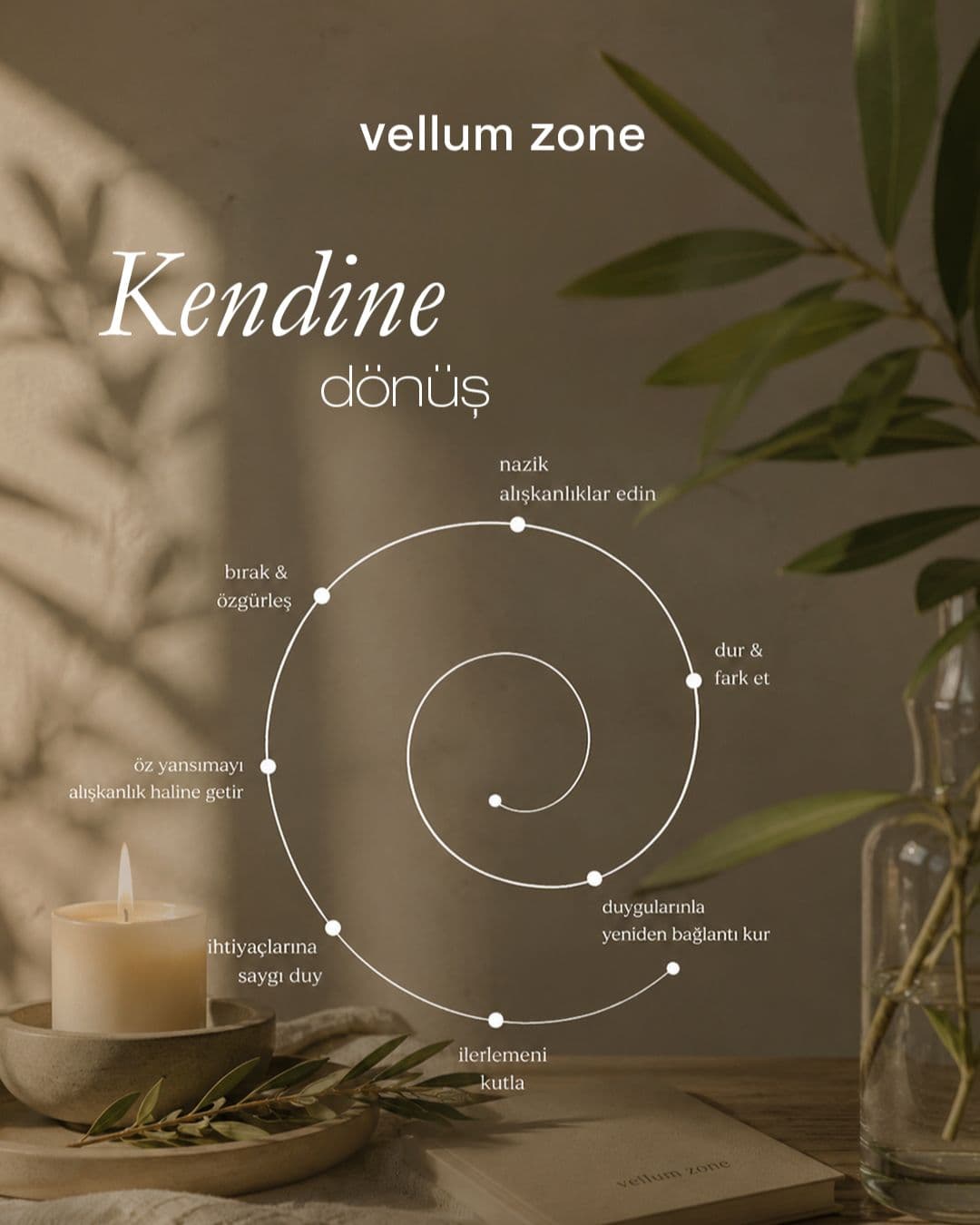 Vellum Zone sosyal medya gönderisi