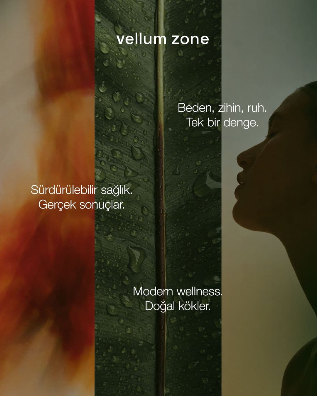 Vellum Zone sosyal medya gönderisi