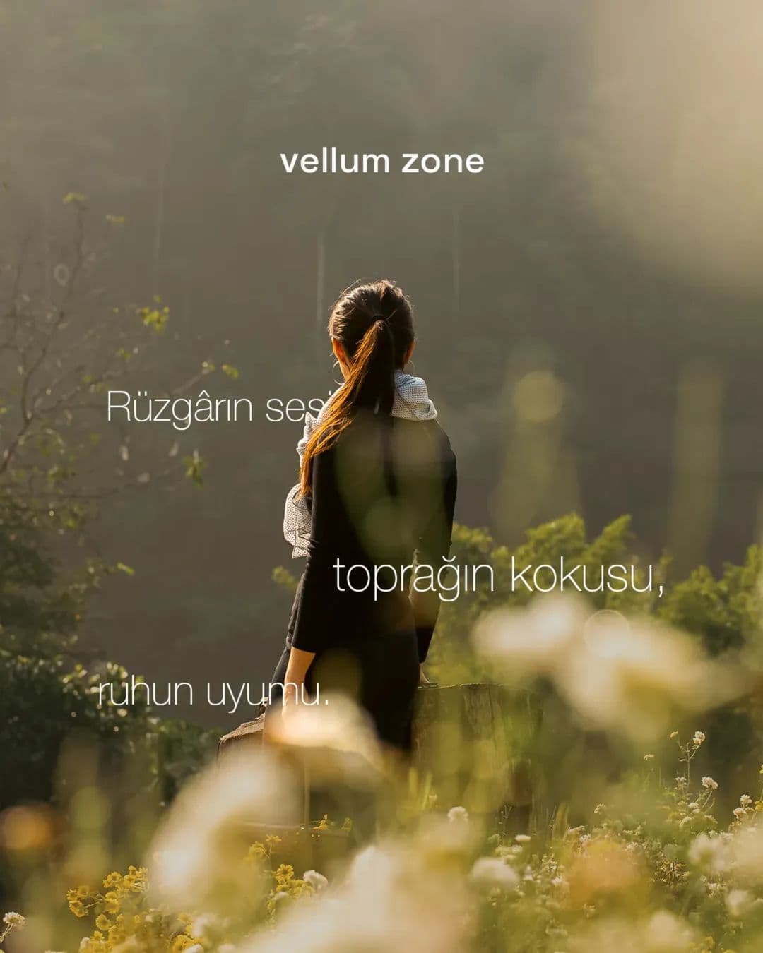 Vellum Zone sosyal medya gönderisi