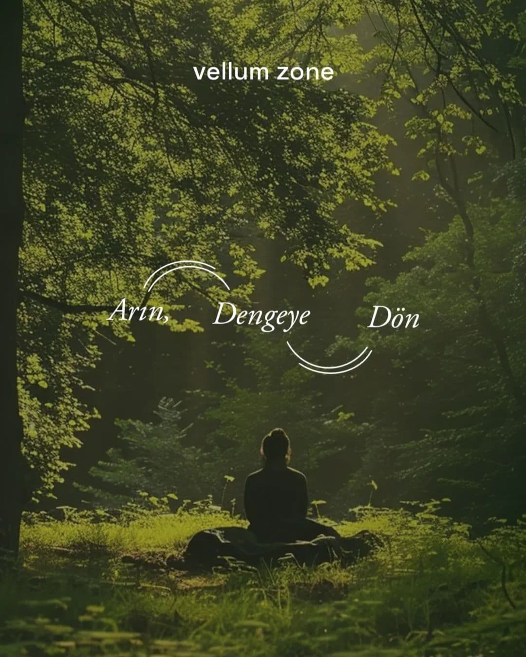 Vellum Zone sosyal medya gönderisi