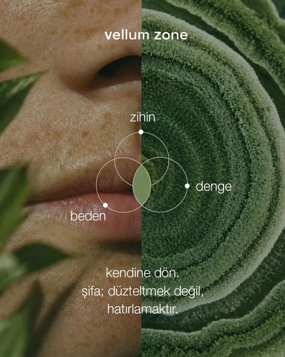 Vellum Zone sosyal medya gönderisi